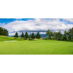 Golf For Dummies: The Basics Of Golf