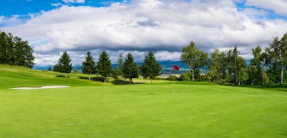 Golf For Dummies: The Basics Of Golf