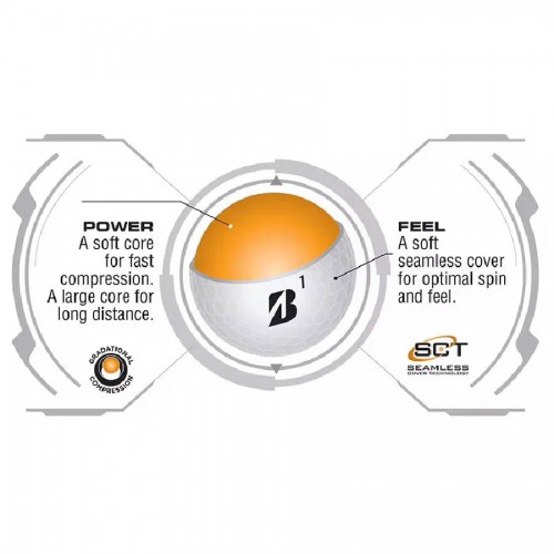 Bridgestone e6 Soft Custom Logo Golf Balls / Dozen