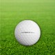 Titleist Pro V1 Logo Overrun Golf Balls