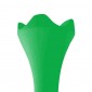 Citrus Green 