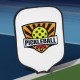 Pickleball Paddle Cover
