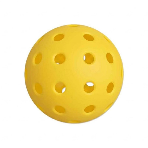 Pickleball Tube with 40 Hole Outdoor Pickleball Pickleball Tube with 40 Hole Outdoor Pickleball