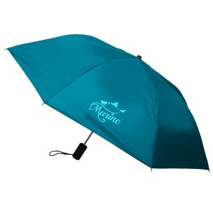 Shed Rain™ 40" Economy Auto-Open Compact Umbrella